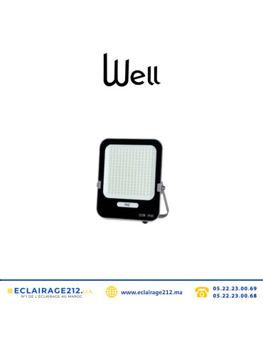 Projecteur LED WELL 30W 6500°K IP66 WELLSNIK30W Casablanca Maroc
