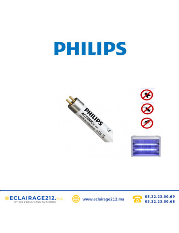 Tube UV T5 tue-insectes Philips Actinic BL 6W 22,5cm Casablanca Maroc