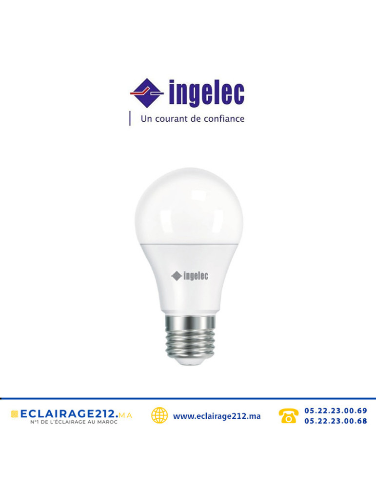 Ampoule LED INGELEC B22 15W 6500°K LEDA15B22B Casablanca Maroc
