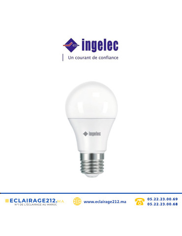 Ampoule LED INGELEC B22 11W 6500°K LEDA11B22B Casablanca Maroc