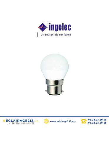 Ampoule LED sphérique INGELEC B22 6W 3000°K LEDG06B22J Casablanca Maroc