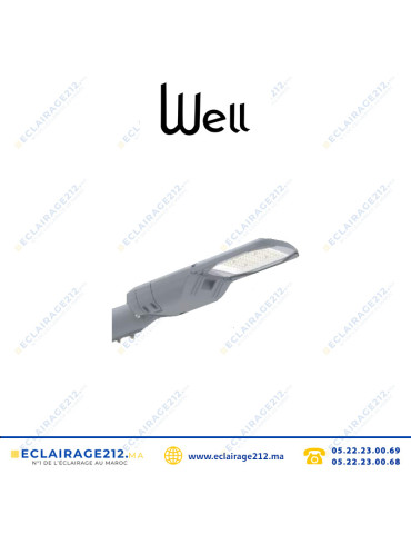 Luminaire LED WELL Pluto 50W 4000°K éclairage publique