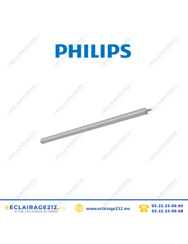 Réglette LED PHILIPS 120cm 30W WT068C CW LED36 6500°K IP66 Casablanca Maroc